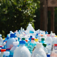 https://www.dbqproject.com/wp-content/uploads/2019/04/platic-bottles-240x240.jpg