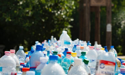 https://www.dbqproject.com/wp-content/uploads/2019/04/platic-bottles-400x240.jpg